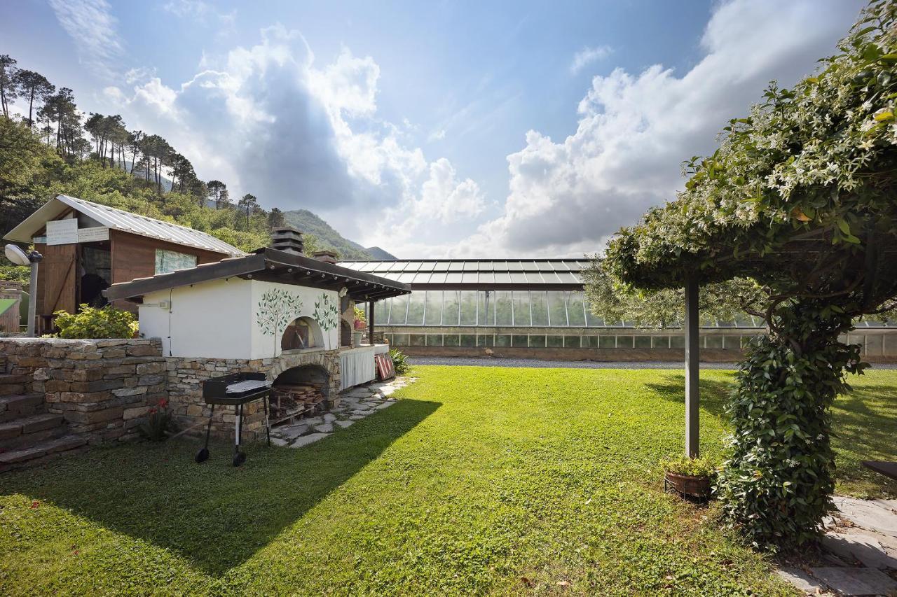 Mansarda Albero Verde con Piscina Casanova Lerrone Exterior foto